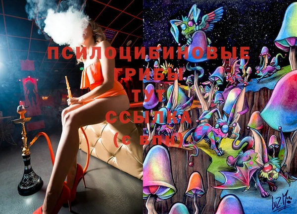 MDMA Premium VHQ Аркадак