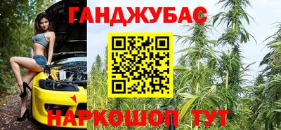 сатива Лесосибирск