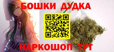 сатива Лесосибирск