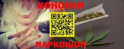сатива Кунгур