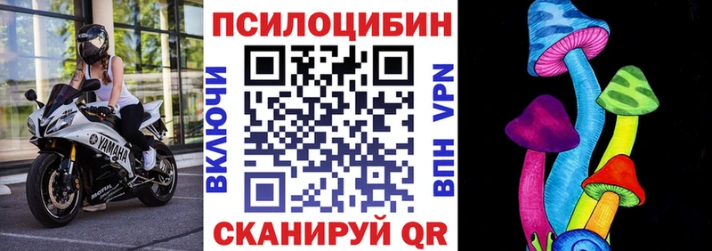 МЕГА ТОР  Долгопрудный  Галлюциногенные грибы Psilocybe 