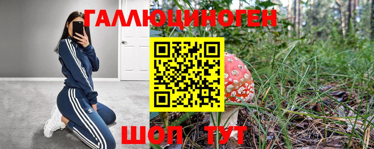 Псилоцибиновые грибы прущие грибы  Вход с VPN  Галлюциногенные грибы ЛСД  Долгопрудный 